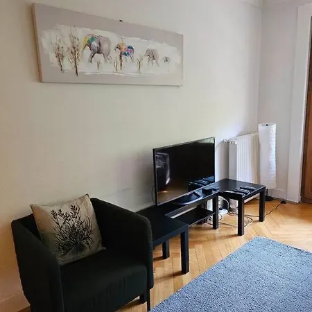Gem Spacious Apt For 4 Inc Free Bus Pass Genève